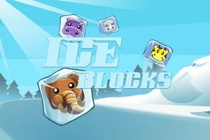 Ice Blocks